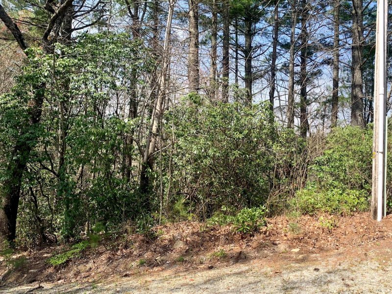 Property image 4 at Lot 30 Oak Ridge Drive, Brevard, NC 28712