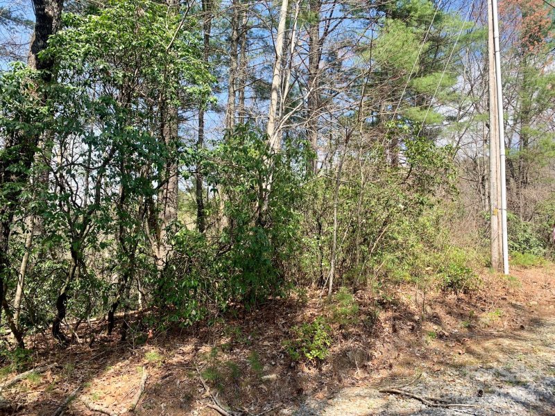 Property image 5 at Lot 30 Oak Ridge Drive, Brevard, NC 28712