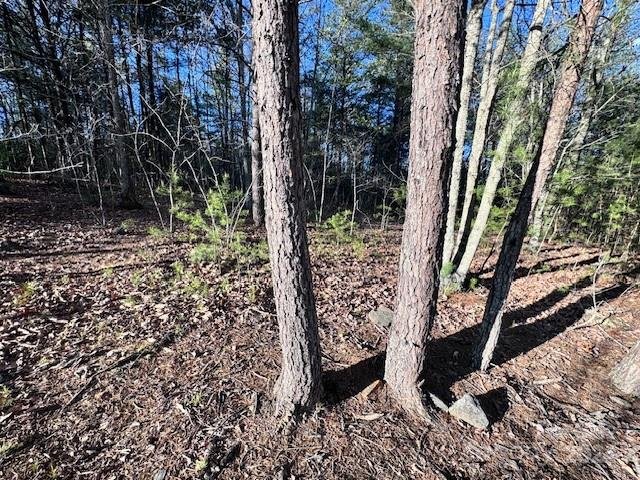 Property image 5 at Tbd High Trail Drive, Nebo, NC 28761