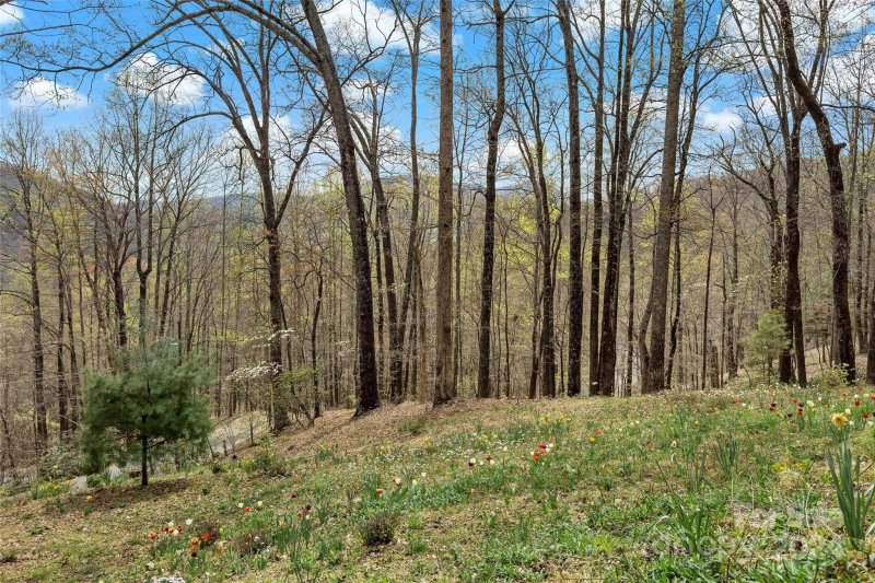 Property image 4 at 1506 Mckenzie Way, Old Fort, NC 28762