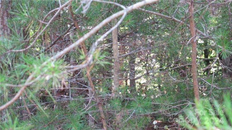 Property image 2 at Lot 8 Bayleigh Drive, Vale, NC 28168