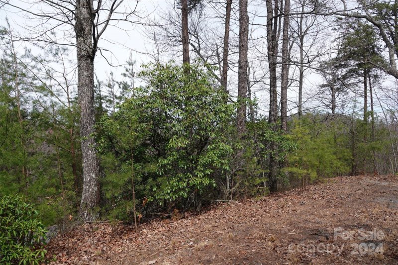 Property image 3 at 69 Arbra Mountain Way, Bostic, NC 28018