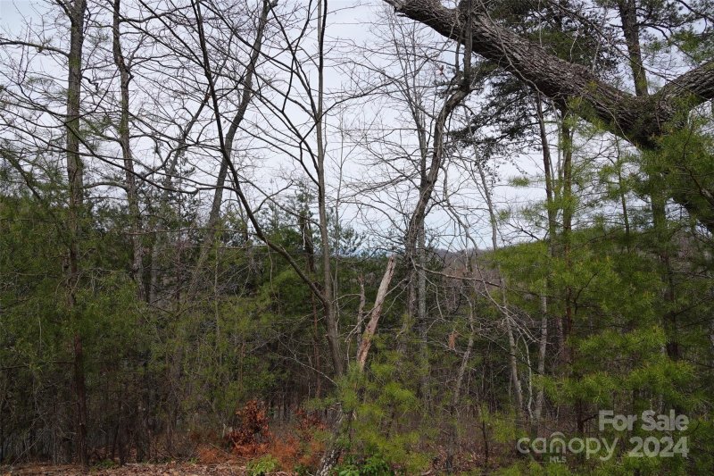 Property image 4 at 69 Arbra Mountain Way, Bostic, NC 28018
