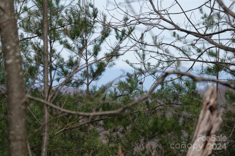 Property image 5 at 69 Arbra Mountain Way, Bostic, NC 28018