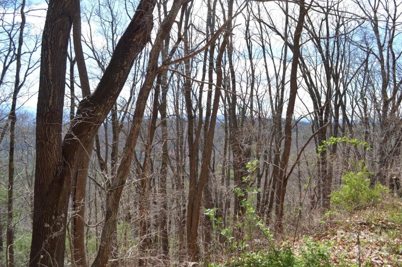 Property image 2 of Lot 8 Town Mountain Road in Chunns Crest, Asheville, NC 28804