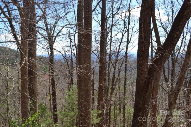 Property image 4 of Lot 8 Town Mountain Road in Chunns Crest, Asheville, NC 28804