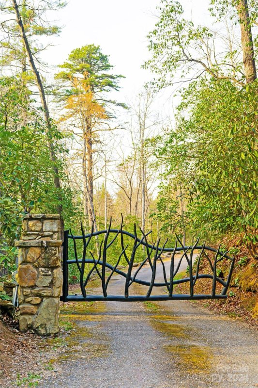 Property image 4 at 429 Marshall Lake Road, Cedar Mountain, NC 28718