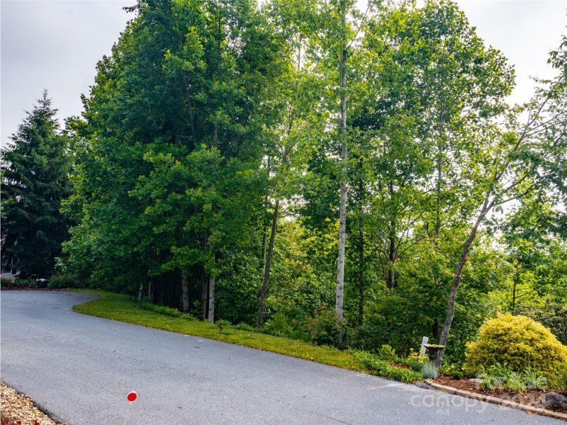 Property image 2 at 60 Bay Willow Court, Hendersonville, NC 28791