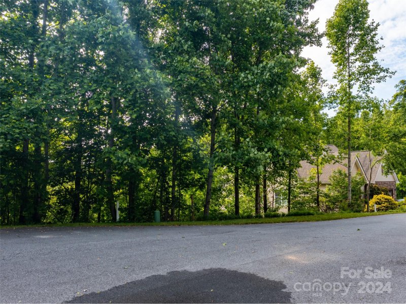 Property image 4 at 60 Bay Willow Court, Hendersonville, NC 28791