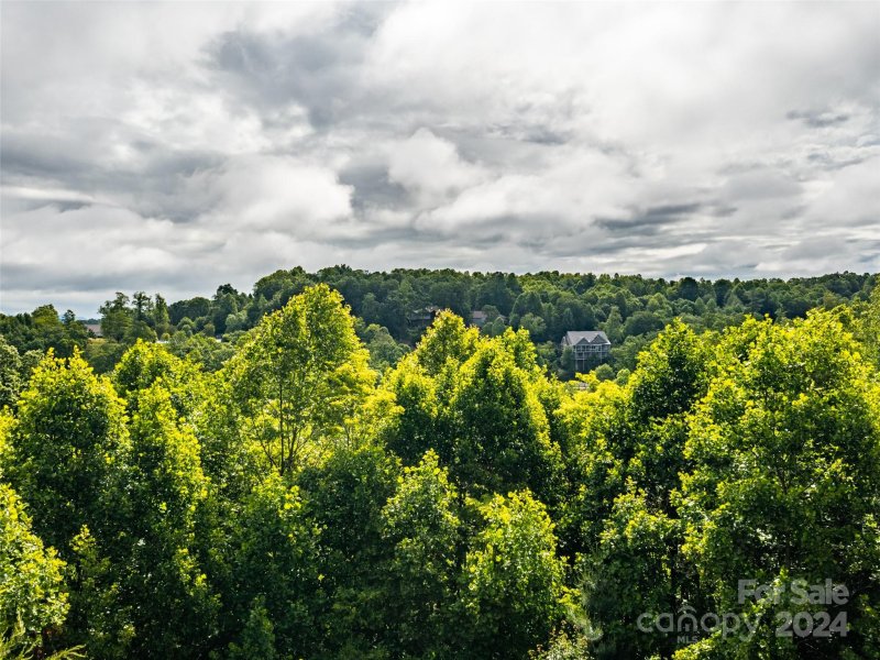 Property image 5 at 60 Bay Willow Court, Hendersonville, NC 28791