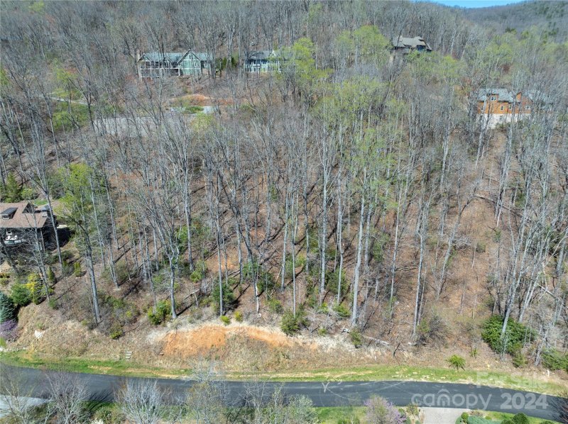 Property image 5 of 29 Red Tail Court in Southcliff, Fairview, NC 28730