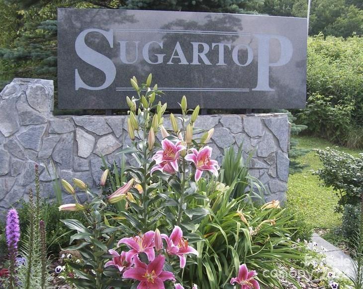 Property image 4 at 303 Sugar Top Drive, Sugar Mountain, NC 28604