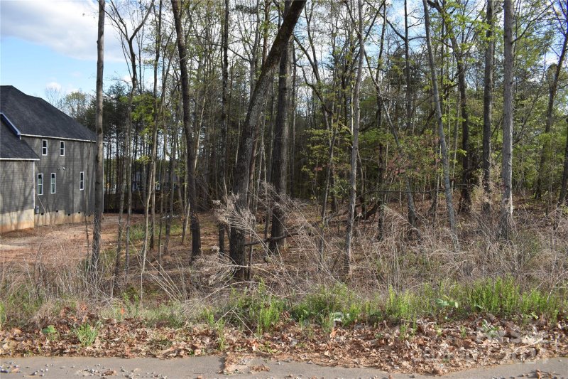 Property image 4 at 305 Spanish Oak Lane, Gastonia, NC 28056