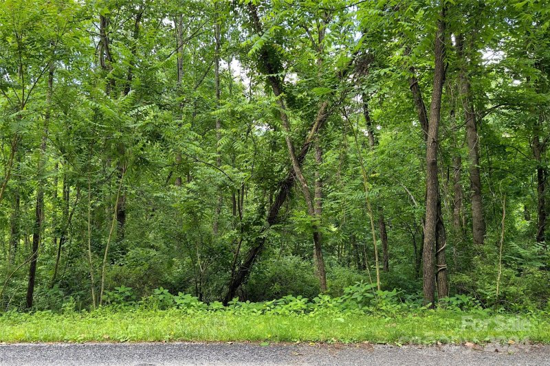 Property image 4 at 193 Blue Ridge Drive, Marion, NC 28752