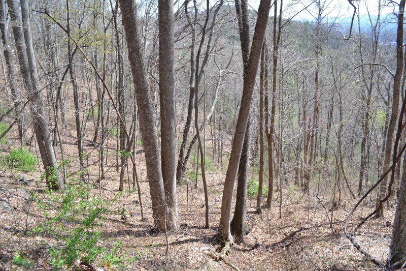 Property image 2 of Lot 9 Town Mountain Road in Chunns Crest, Asheville, NC 28804