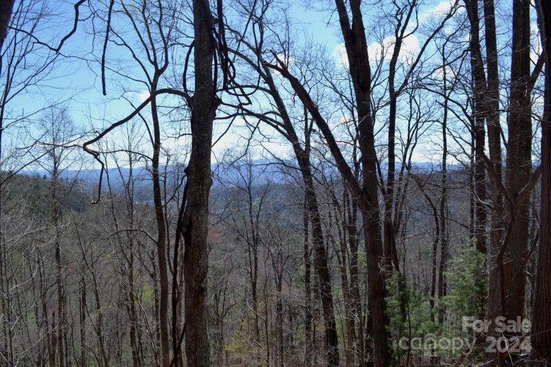 Property image 4 of Lot 9 Town Mountain Road in Chunns Crest, Asheville, NC 28804