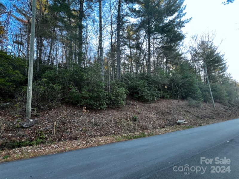 Property image 3 at 99999 Old Mt Olivet Road, Zirconia, NC 28790