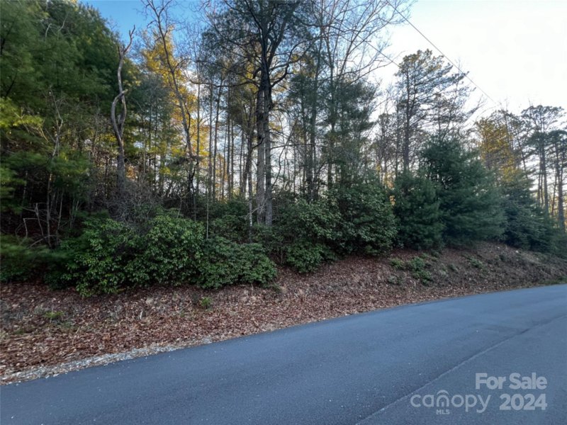 Property image 4 at 99999 Old Mt Olivet Road, Zirconia, NC 28790