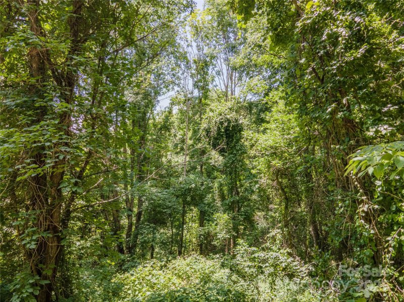 Property image 3 of 00 Lake Drive in Newfound Gap Acres, Leicester, NC 28748