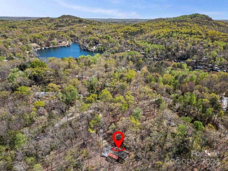 Property image 3 at 440 Jervey Road, Landrum, SC 29356