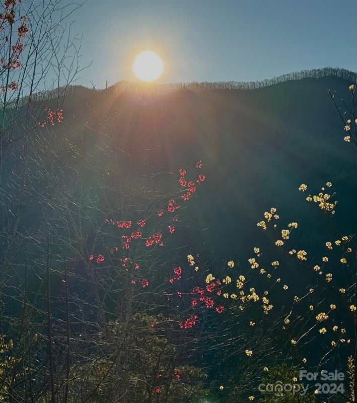 Property image 4 at 000 Grand View Estates, Whittier, NC 28789