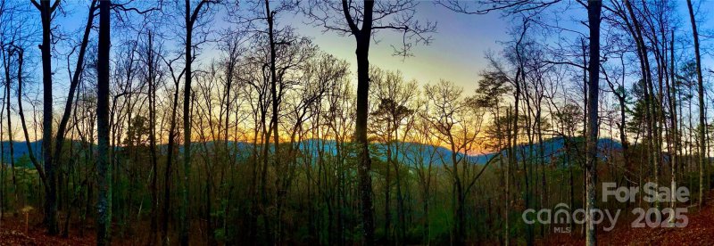 Osprey Village, Sylva community