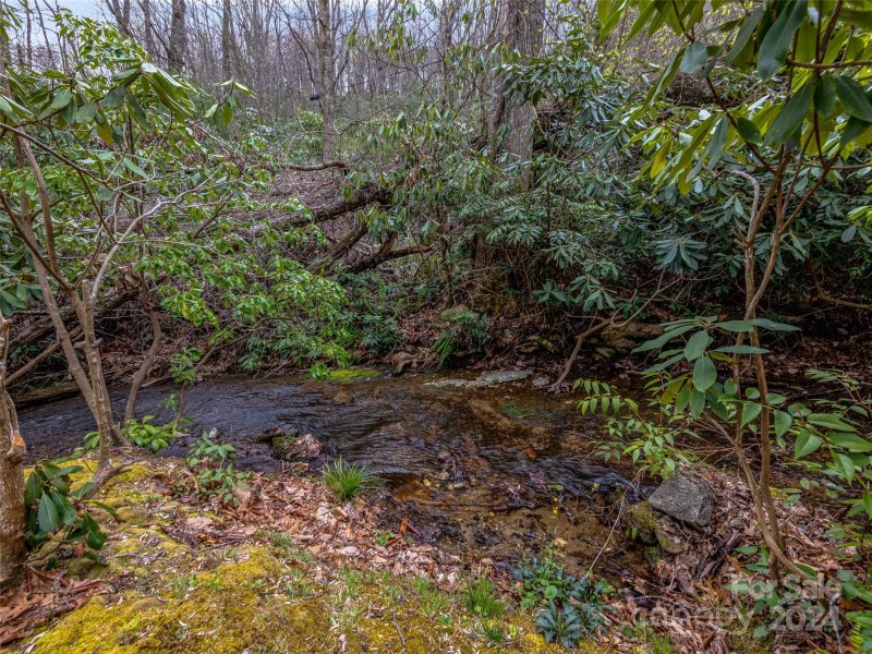 Property image 5 at 500 Davis Mountain Road, Laurel Park, NC 28739