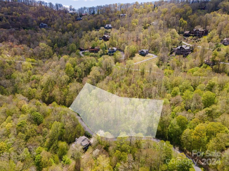 Property image 5 of 93 Goldenleaf Road in Wolf Laurel, Mars Hill, NC 28754