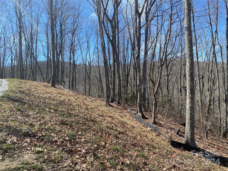 Property image 3 at Lot C23 Roaming Road, Glenville, NC 28736