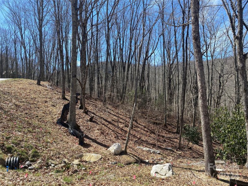 Property image 4 at Lot C23 Roaming Road, Glenville, NC 28736