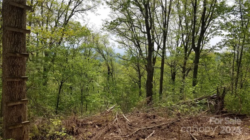 Property image 2 at 36 37 S Valley View Drive, Mars Hill, NC 28754