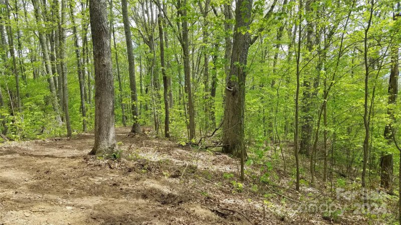 Property image 3 at 36 37 S Valley View Drive, Mars Hill, NC 28754