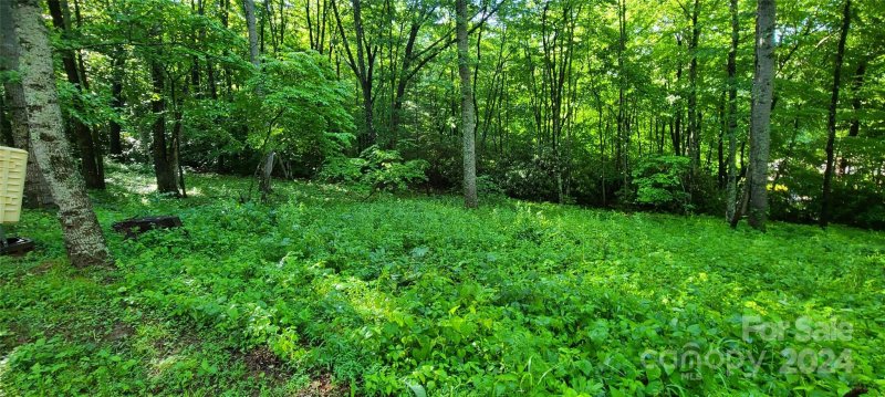 Property image 2 at 000000 Country Club Drive, Canton, NC 28716