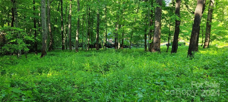 Property image 3 at 000000 Country Club Drive, Canton, NC 28716