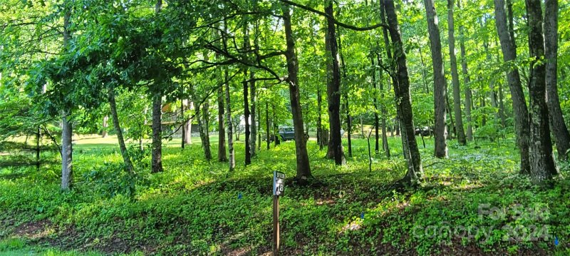 Property image 4 at 000000 Country Club Drive, Canton, NC 28716