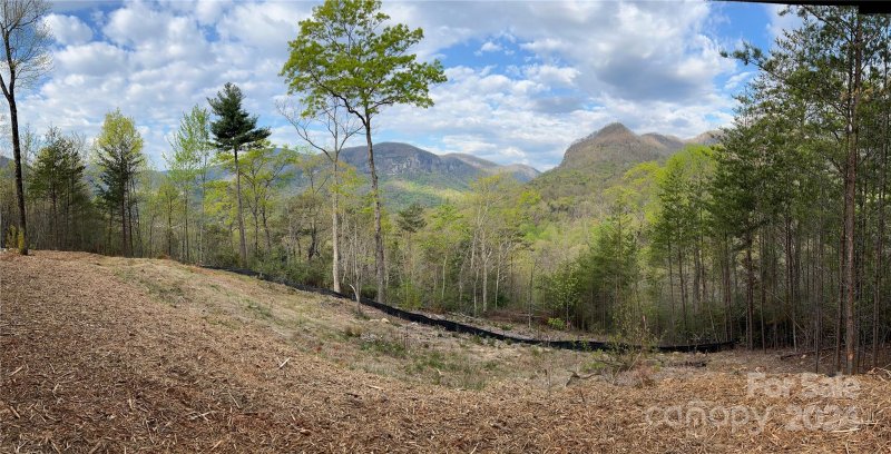 Property image 3 at 156 Kellerman Point, Lake Lure, NC 28746