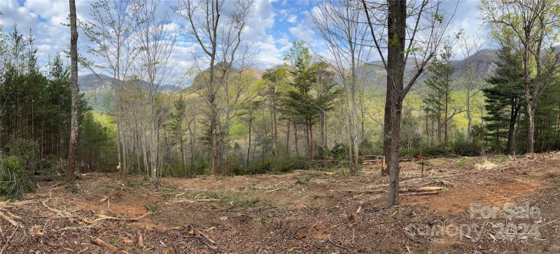 Property image 4 at 156 Kellerman Point, Lake Lure, NC 28746