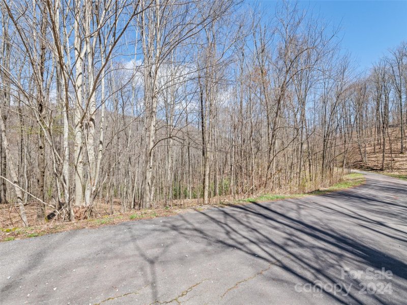 Property image 3 of 0 Jonathan Trail in Soco Falls, Maggie Valley, NC 28751