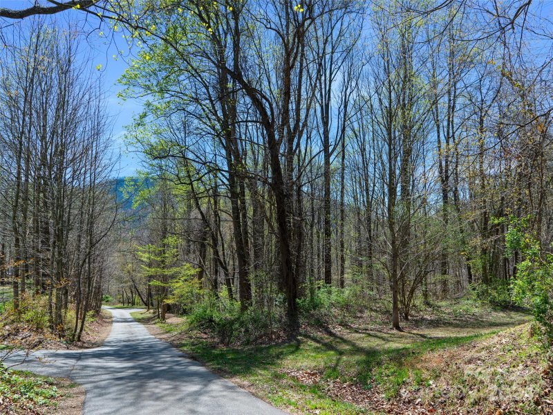 Property image 2 at 00 Lovebird Lane, Candler, NC 28716