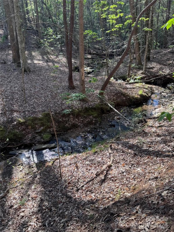 0 Clearwater Parkway