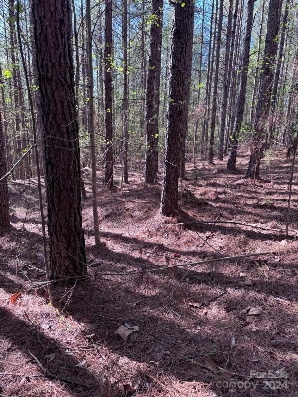 Property image 2 at 0 Clearwater Parkway, Rutherfordton, NC 28139