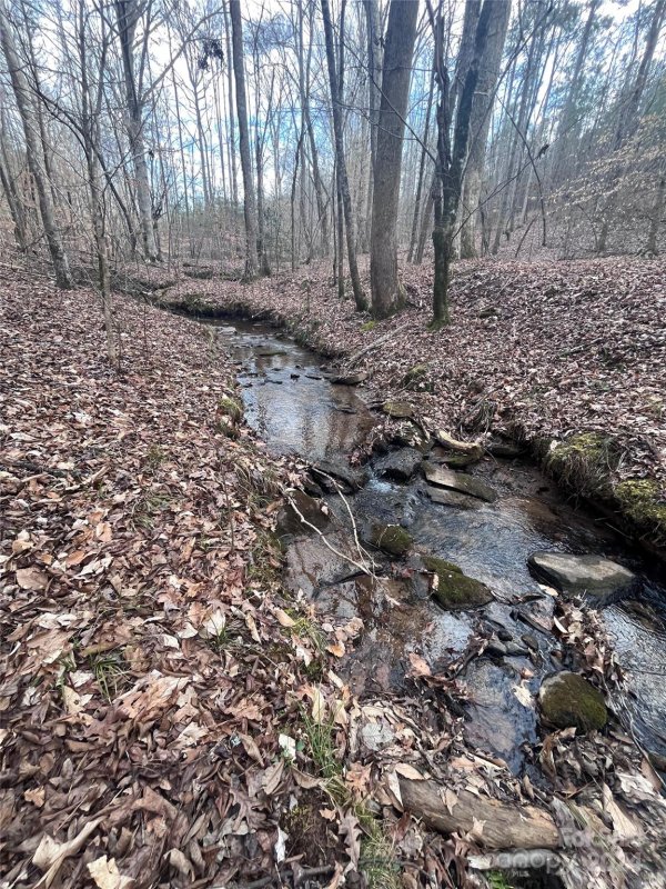 Property image 3 at 0 Clearwater Parkway, Rutherfordton, NC 28139