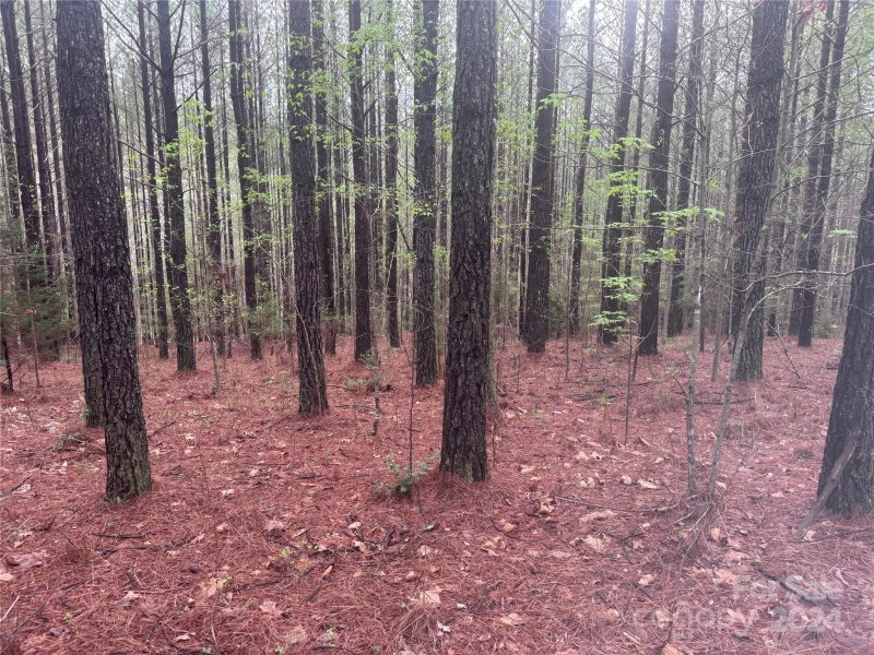 Property image 4 at 0 Clearwater Parkway, Rutherfordton, NC 28139