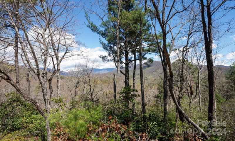 Property image 3 at 317 Chapel Road, Black Mountain, NC 28711
