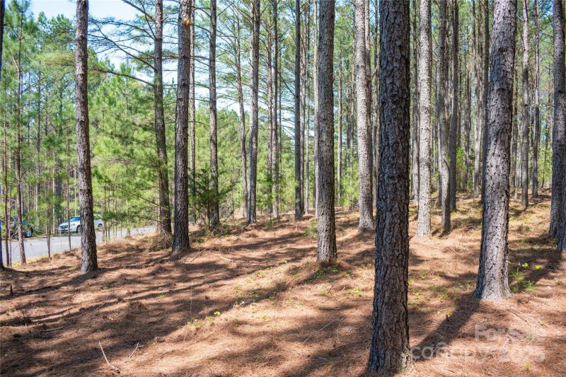 Property image 5 of 144 Whispering Pines Lane in Broad River Highlands, Mooresboro, NC 28114