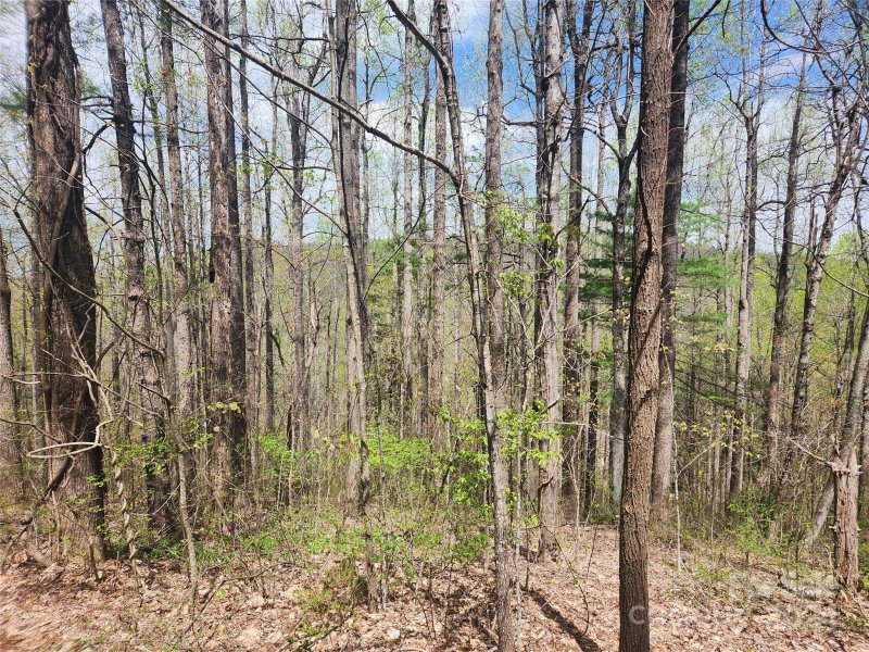 Property image 3 of 174 Mount Hebron Road in Pathways Of Solomon, Hendersonville, NC 28739