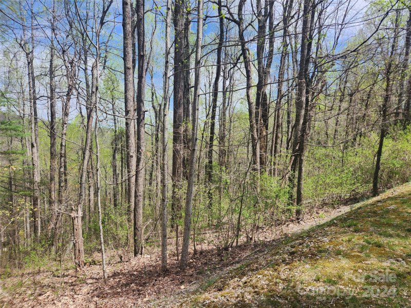 Property image 4 of 174 Mount Hebron Road in Pathways Of Solomon, Hendersonville, NC 28739