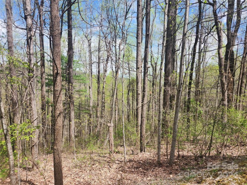 Property image 5 of 174 Mount Hebron Road in Pathways Of Solomon, Hendersonville, NC 28739