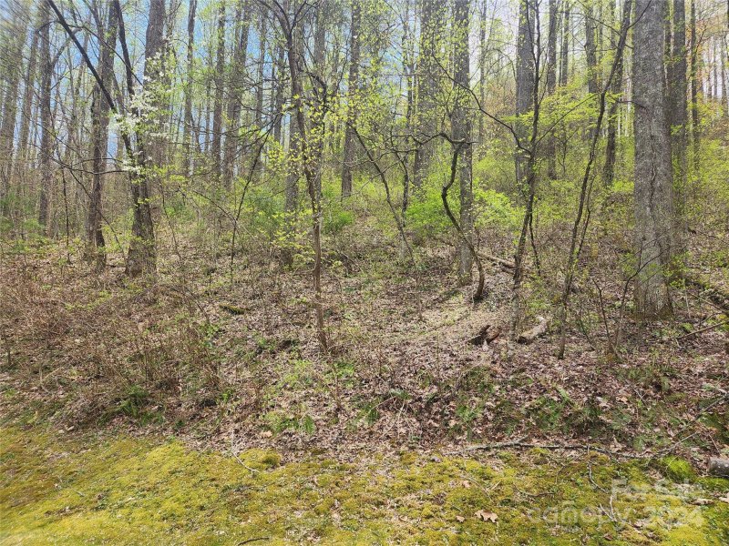 Property image 2 of 573 Solomon Circle in Pathways Of Solomon, Hendersonville, NC 28739