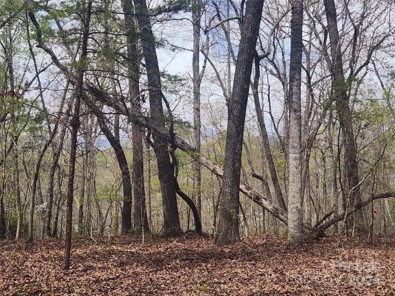 Property image 2 at 00 Millcreek Way, Rutherfordton, NC 28139